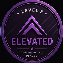 Level 3 &mdash; Elevated